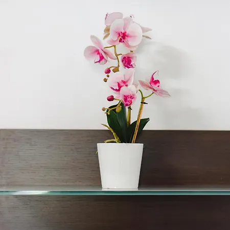 Holidays Dom wakacyjny Scauri (Lazio)